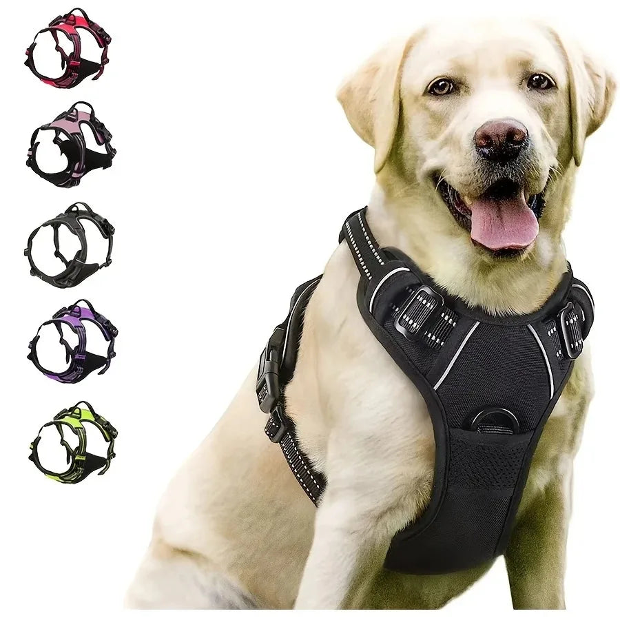 Ensemble Collier, Harnais et Laisse pour Chien – Accessoires Complets pour Petit et Moyen Chien