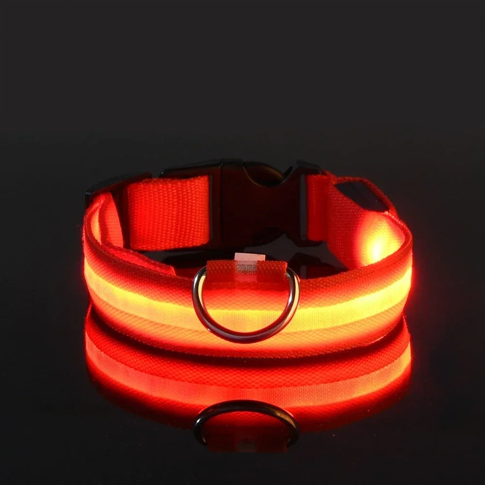 Collier LED Lumineux pour Chien – Nylon Réfléchissant, Sécurité, Clignotant & Fluorescent