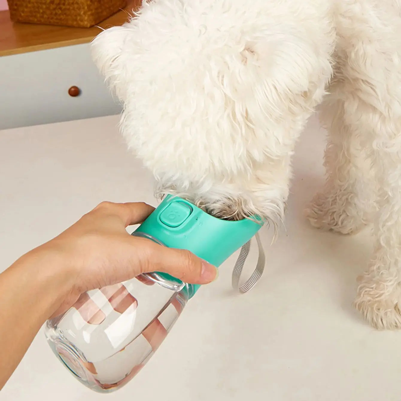 Gourde Portable Grande Capacité : Hydratation pour Chiens de Toutes Tailles
