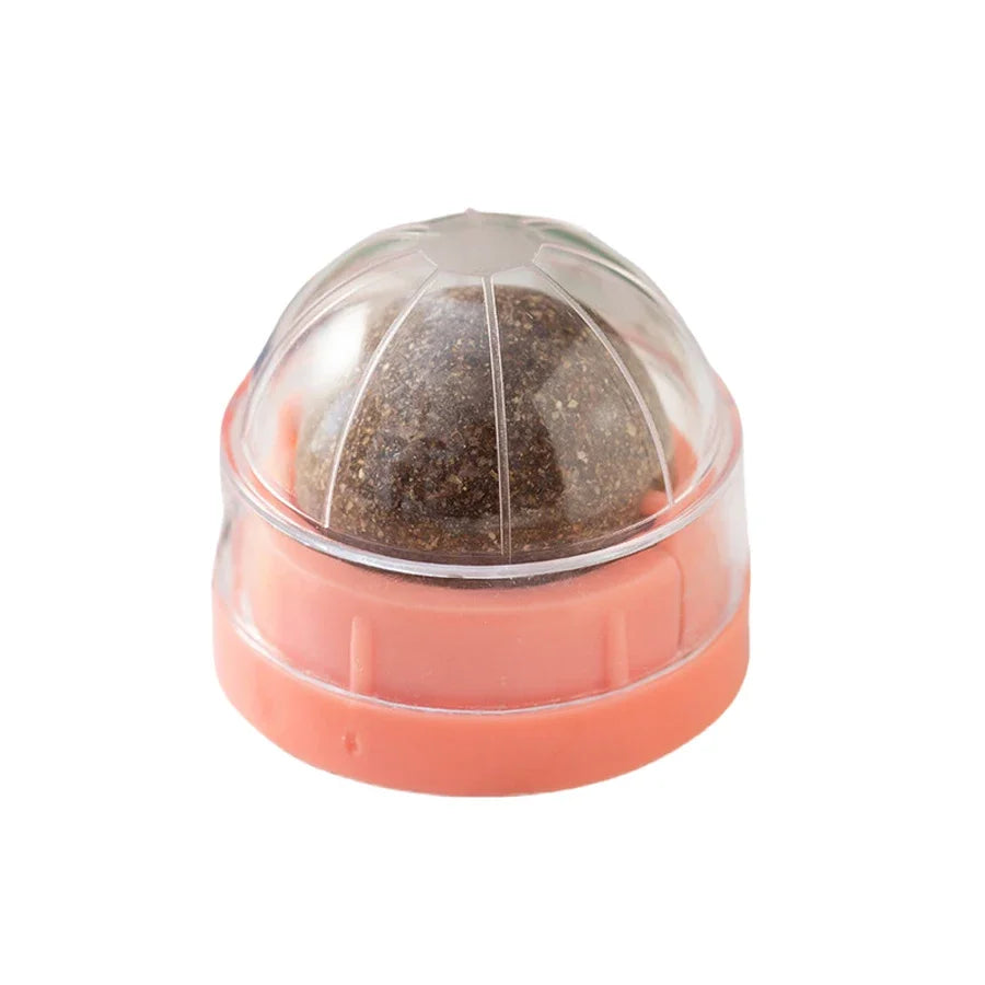 Boule de Cataire Rotative : Soin Dentaire et Divertissement Interactif