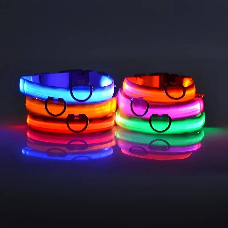 Collier LED Lumineux pour Chien – Nylon Réfléchissant, Sécurité, Clignotant & Fluorescent
