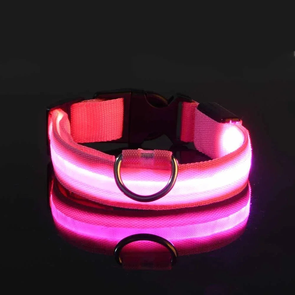 Collier LED Lumineux pour Chien – Nylon Réfléchissant, Sécurité, Clignotant & Fluorescent