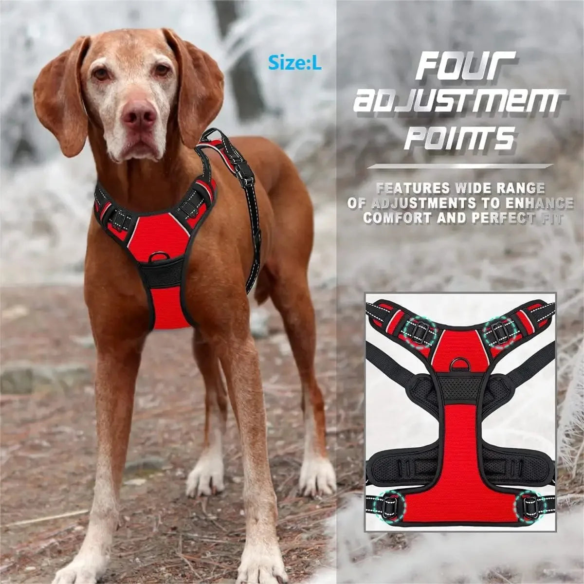 Ensemble Collier, Harnais et Laisse pour Chien – Accessoires Complets pour Petit et Moyen Chien