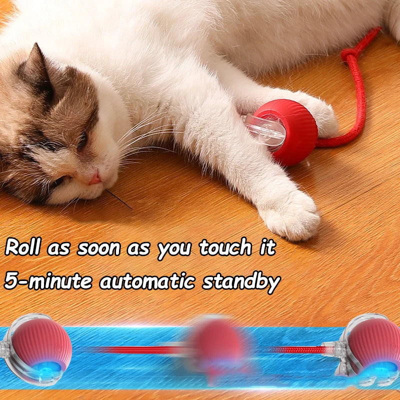 Balle Interactive Automatique pour Chat : Le Compagnon de Chasse Intelligent