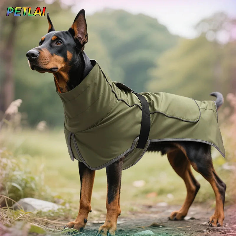 Veste Outdoor 2-en-1 pour Chien – Imperméable et Coupe-vent Haute Performance